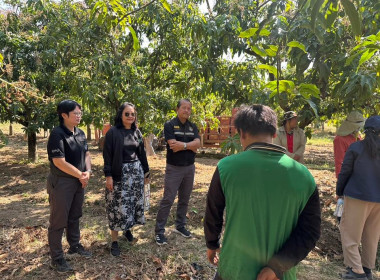 ผู้อำนวยการกลุ่มพัฒนาสหกรณ์การเกษตร 2 ลงพื้นที่ติดตาม ... พารามิเตอร์รูปภาพ 6